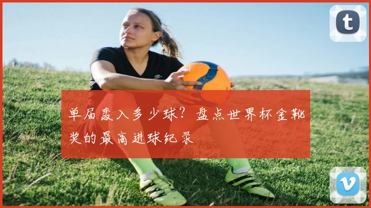 单届轰入多少球？盘点世界杯金靴奖的最高进球纪录