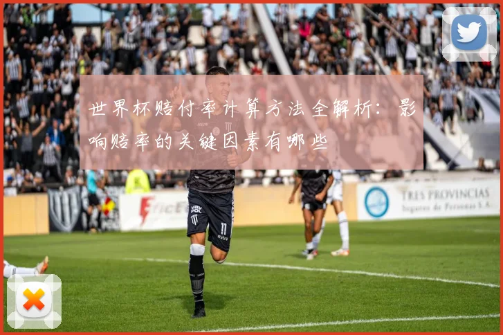 世界杯赔付率计算方法全解析:影响赔率的关键因素有哪些