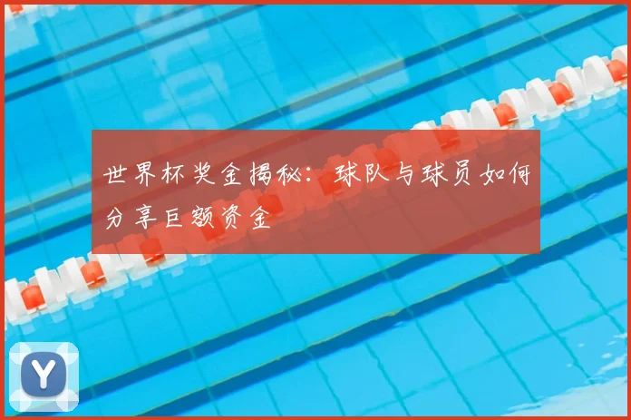 世界杯奖金揭秘：球队与球员如何分享巨额资金