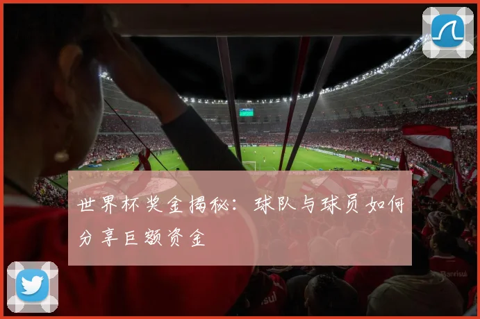 世界杯奖金揭秘：球队与球员如何分享巨额资金